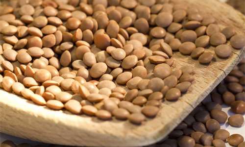 عدس: منبع پروتئین و آنتی اکسیدان ها عدس: منبع پروتئین و آنتی اکسیدان ها