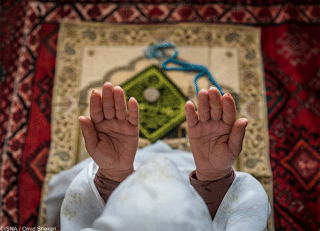 شکرگزاری