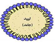 شناسایی لیپید ها 2
