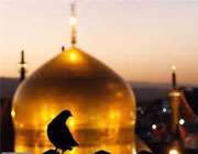 زیارت اهل بیت(ع)