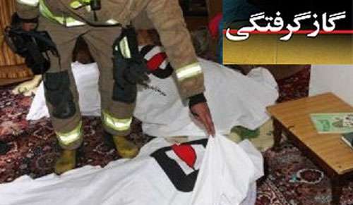 مرگ خاموش ، گاز گرفتگی