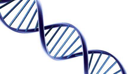 استخراج dna خودتان در خانه