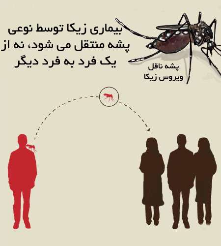 ویروس زیکا