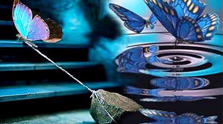 پاک شدن گناهان مؤمن