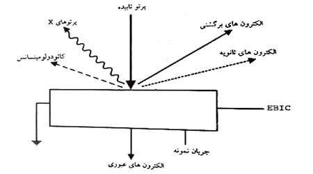 میکروسکوپ الکترونی روبشی (sem)