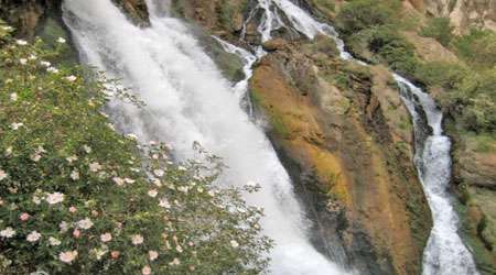 لردگان