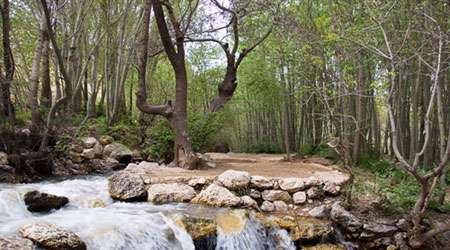 لردگان