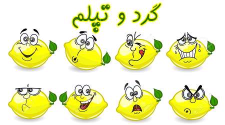 گرد و تپلم گرد و تپلم