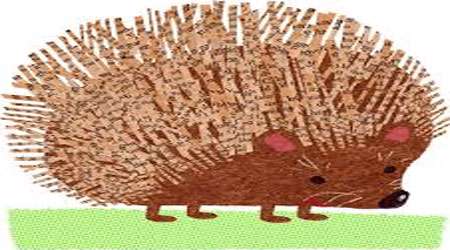 یک تیغ تیغی بود