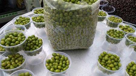 گوجه سبز