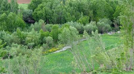 دامنه کوهستان های بروجرد