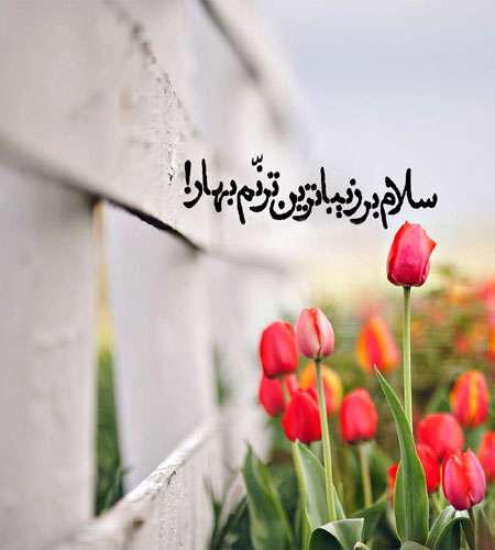 بهار