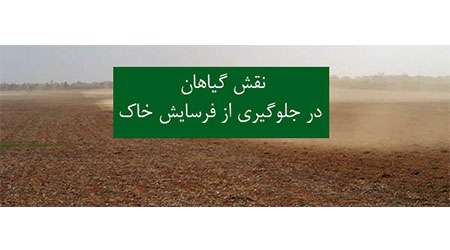 نقش گیاهان در جلوگیری از فرسایش خاک