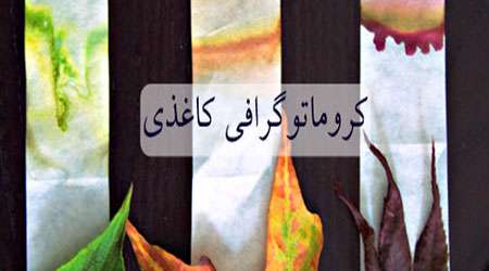 کروماتوگرافی کاغذی کروماتوگرافی کاغذی