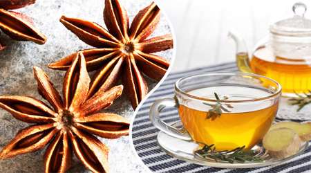 بادیان رومی