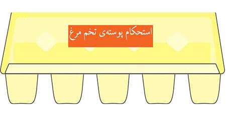 استحکام پوسته تخم مرغ استحکام پوسته تخم مرغ