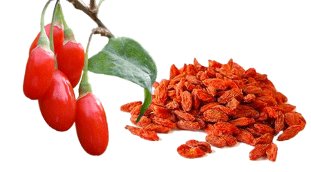 توت گوجی