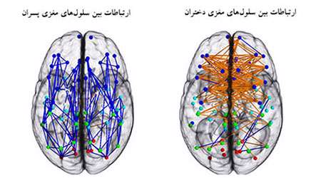 تفاوت ذاتی مغز دخترها و پسرها تفاوت ذاتی مغز دخترها و پسرها