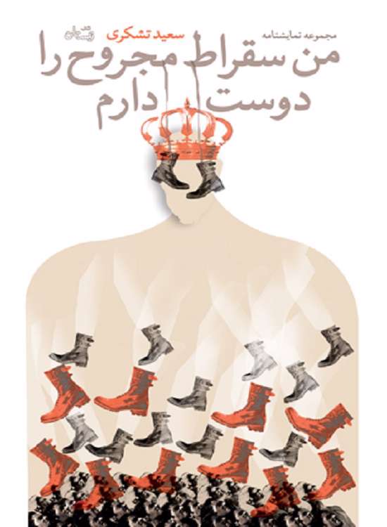 من سقراط مجروح را دوست دارم
