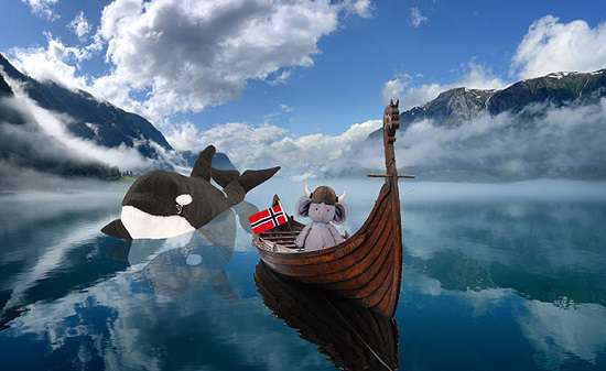 فیل