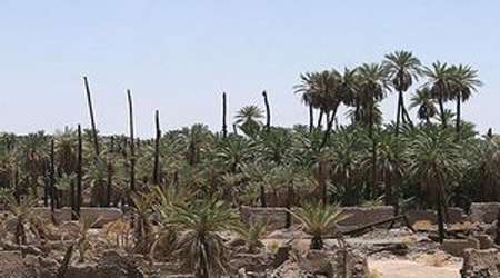 فدك در زمان رسول خدا فدك در زمان رسول خدا