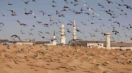 تخریب بقیع، مزد رسالت یا مبارزه با شرک؟ تخریب بقیع، مزد رسالت یا مبارزه با شرک؟