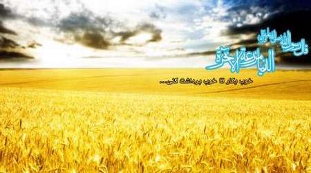 فرزند آخرت ! فرزند آخرت !