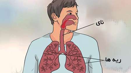 دستگاه تنفسی