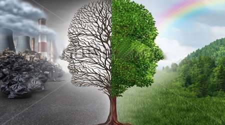 دنیای آلوده به سموم