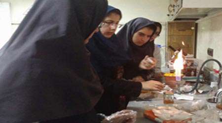 درمان عفونت به وسیله گیاهان دارویی، دستاورد برتر دوره اول سرای دانش رسالت