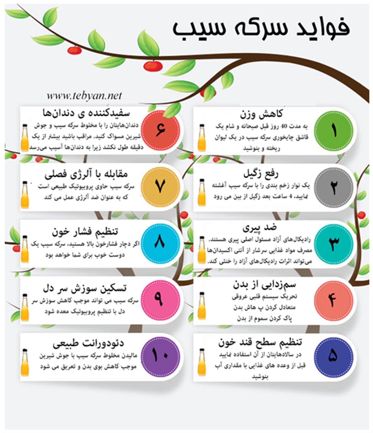 اینفوگرافی خواص سرکه سیب