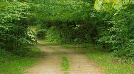 آفرینش