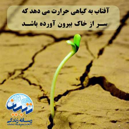 گیاه ، از تو حرکت ار خدا برکت