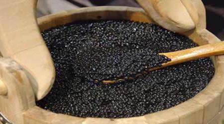خاویار