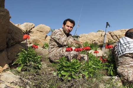 شهید سیدعبدالحمید حسینی