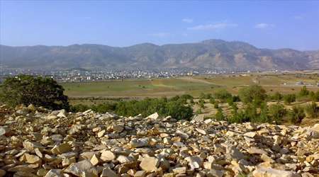 پارک جنگلی، چغاسبز،