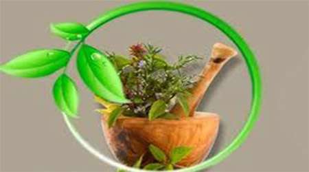 بررسی اثر عصاره دارچین و میخک بر میکرووب های دهان