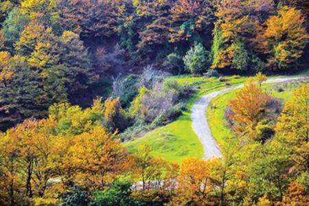 پاییز