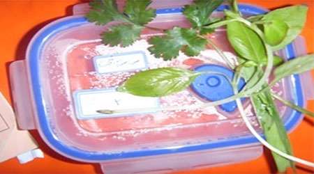 افزایش ماندگاری سبزیجات با پوشش نانو روغن – جلسه پنجم