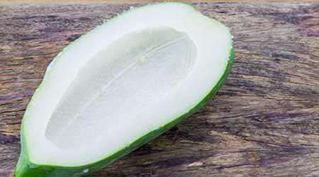کرم گیاهی ضد زگیل دستاورد برتر دوره اول نور ایمان