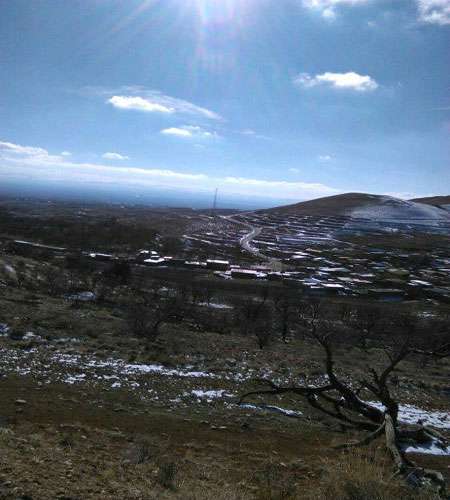 چنار کهنسال؛ اسطوره مقدس روستای آمُره چنار کهنسال؛ اسطوره مقدس روستای آمُره