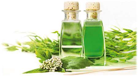 خواص گیاهان کوهی دستاورد برتر دوره دوم پیام زهرا