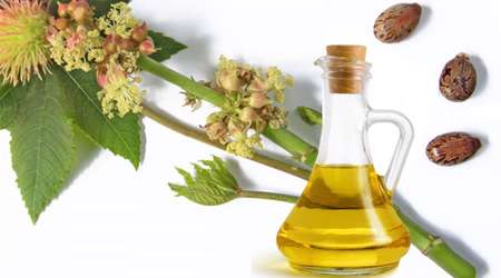 روغن کرچک