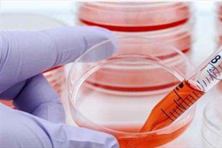 طراحی کیت تشخیص سلول سرطانی