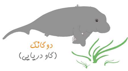 دوگانگ _ گاو دریایی