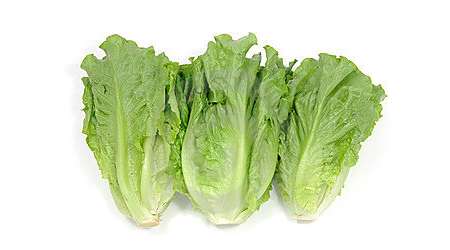 کاهو