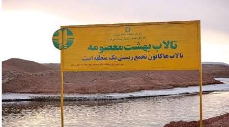 زیبایی های مینیاتوری تالاب نفت خیز قم زیبایی های مینیاتوری تالاب نفت خیز قم