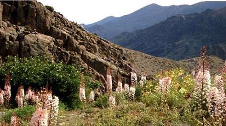 12منطقه نمونه گردشگری در کویر قم