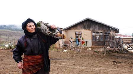 بازیگران