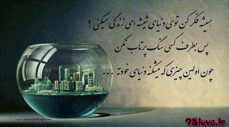 انعکاس رفتارها